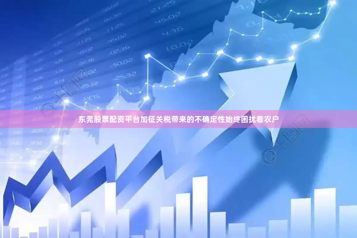东莞股票配资平台加征关税带来的不确定性始终困扰着农户