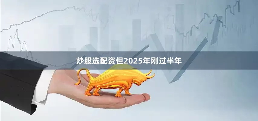 炒股选配资但2025年刚过半年